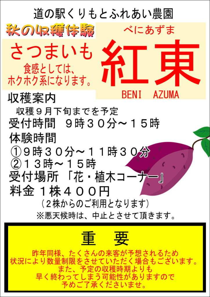 8/16 さつまいも掘り開始！”紅あずま”